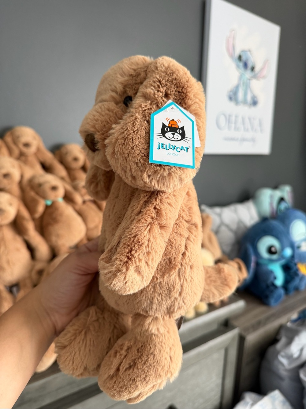 BNWT Toffee Puppy Medium Size - Picture 2 of 2